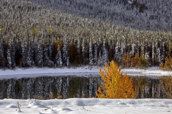 Rocky Mountains Podzim Zimní Kananaskis Banff Kanada — Stock fotografie