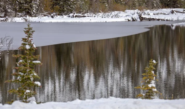 Rocky Mountains Winter Fall Kananaskis Banff Canada — Stock Photo, Image