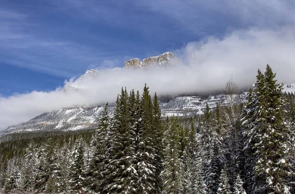 Rocky Mountains Winter Fall Кананаскис Банфф Канада — стоковое фото