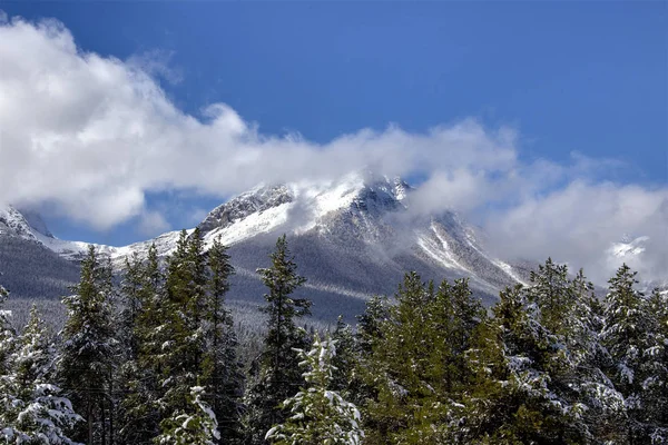 Klippiga Bergen Vintern Faller Kananaskis Banff Kanada — Stockfoto