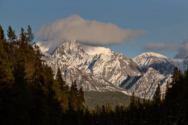 Klippiga Bergen Vintern Faller Kananaskis Banff Kanada — Stockfoto