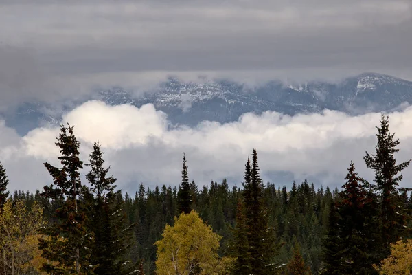 Gyllene British Columbia Kicking Horse Country Scenic — Stockfoto