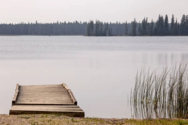 Βόρεια Λίμνη Του Καναδά Αποβάθρα Στην Άγρια Φύση Manitoba Πάπια — Φωτογραφία Αρχείου