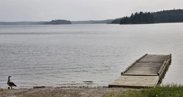 Lago Del Nord Canada Dock Nella Natura Selvaggia Manitoba Duck — Foto Stock