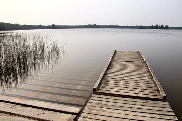 Lago Del Nord Canada Dock Nella Natura Selvaggia Manitoba Duck — Foto Stock