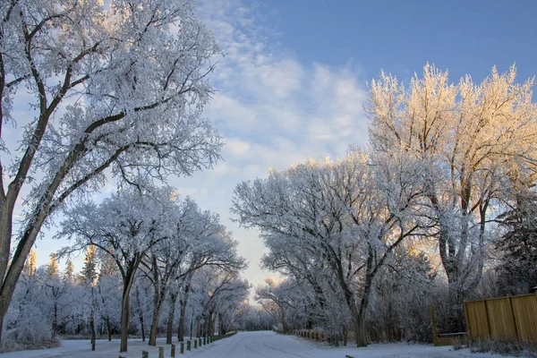 Invierno Helada Saskatchewan Canadá Peligro Tormenta Hielo —  Fotos de Stock