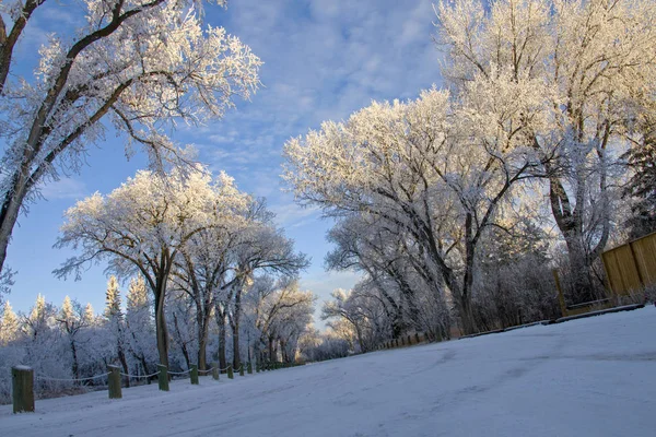 Invierno Helada Saskatchewan Canadá Peligro Tormenta Hielo —  Fotos de Stock