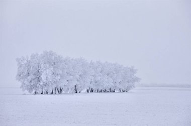 Kış Buzu Saskatchewan Kanada buz fırtınası tehlikesi