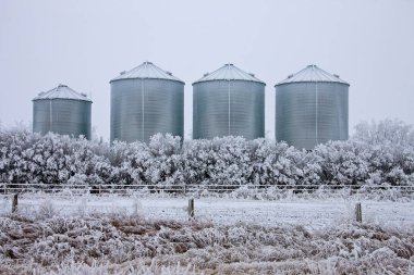 Kış Buzu Saskatchewan Kanada buz fırtınası tehlikesi