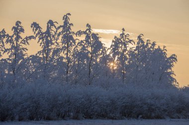 Kış Buzu Saskatchewan Kanada buz fırtınası gündoğumu