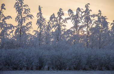 Kış Buzu Saskatchewan Kanada buz fırtınası gündoğumu