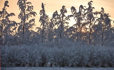 Kış Buzu Saskatchewan Kanada buz fırtınası gündoğumu