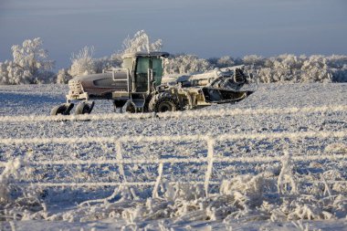 Kış Buzu Saskatchewan Kanada buz fırtınası çiti