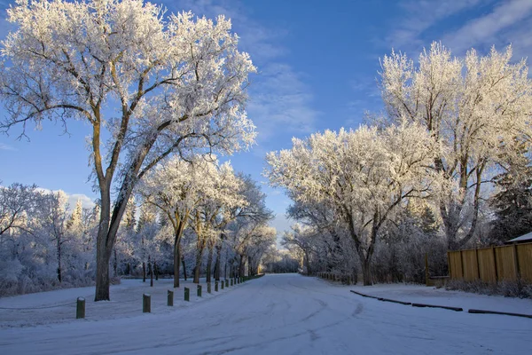 Invierno Helada Saskatchewan Canadá Peligro Tormenta Hielo —  Fotos de Stock