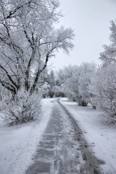 Inverno Geada Saskatchewan Canadá Perigo Tempestade Gelo — Fotografia de Stock