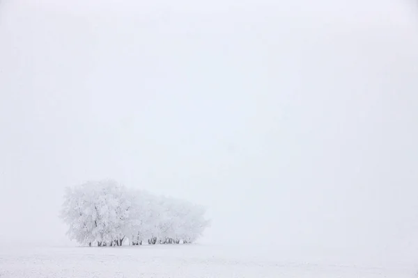 Winterfrost Saskatchewan Kanada Eissturmgefahr — Stockfoto