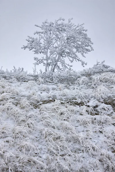 Froid Hivernal Saskatchewan Canada Tempête Verglas Danger — Photo