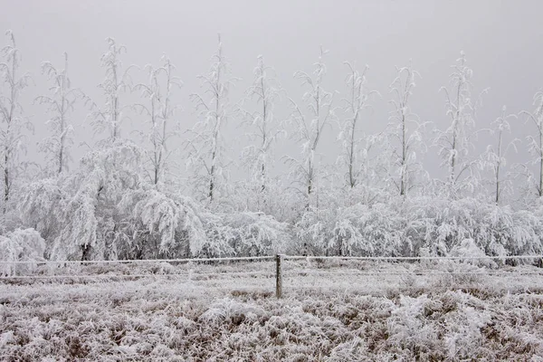 Zimní Mráz Saskatchewan Kanada Led Bouře Nebezpečí — Stock fotografie