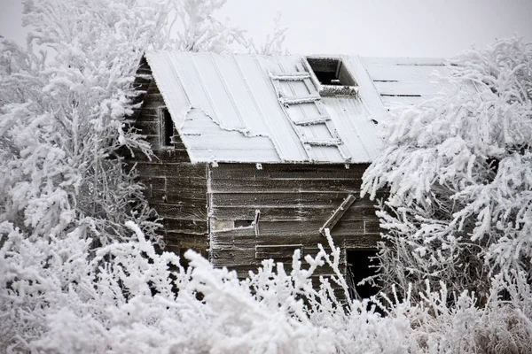 加拿大萨斯喀彻温省冬季霜冻冰风暴的危险 — 图库照片