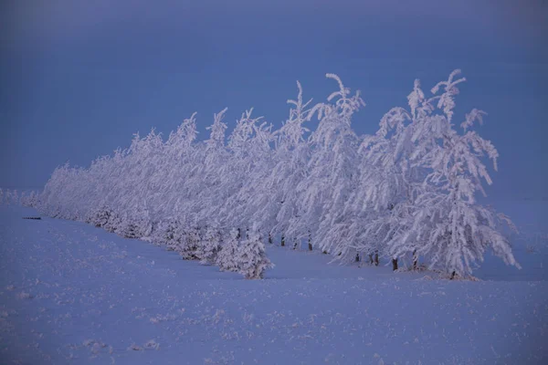 Χειμώνας Frost Saskatchewan Καναδάς Κίνδυνος Καταιγίδας Πάγου — Φωτογραφία Αρχείου