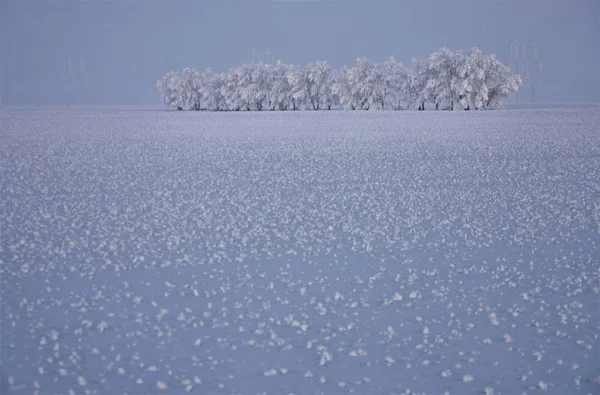 Froid Hivernal Saskatchewan Canada Tempête Verglas Danger — Photo