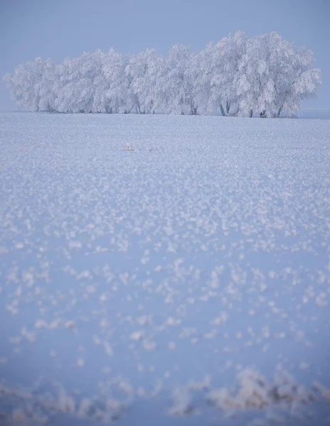 Froid Hivernal Saskatchewan Canada Tempête Verglas Danger — Photo