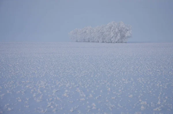 Winter Frost Saskatchewan Kanada Jégvihar Veszély — Stock Fotó