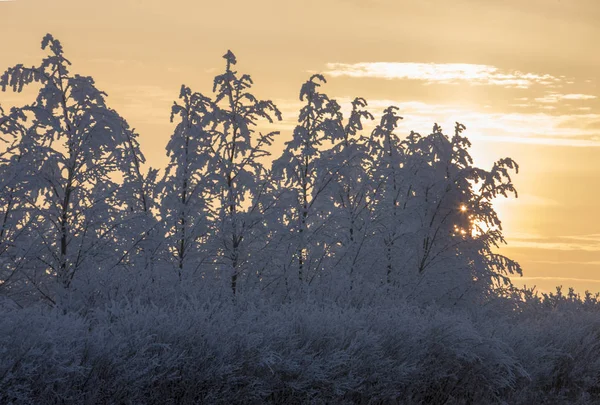 Kış Buzu Saskatchewan Kanada buz fırtınası gündoğumu