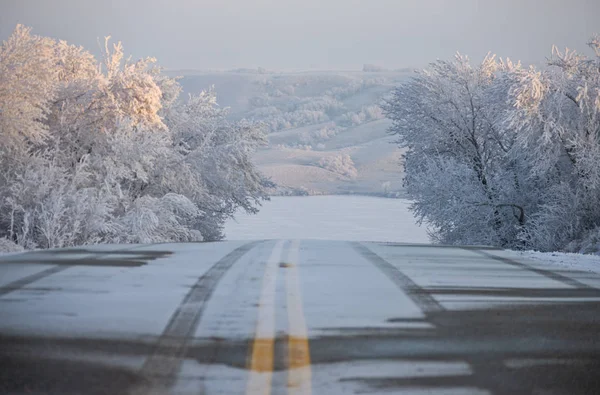 Winter Frost Saskatchewan Kanada Isstorm Fara — Stockfoto
