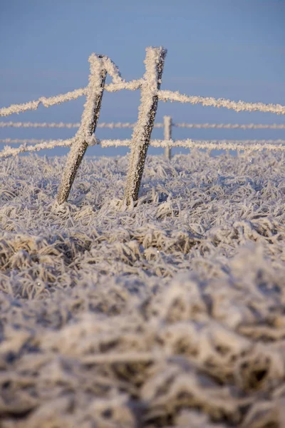 Zimní Mráz Saskatchewan Kanada Led Bouře Nebezpečí — Stock fotografie