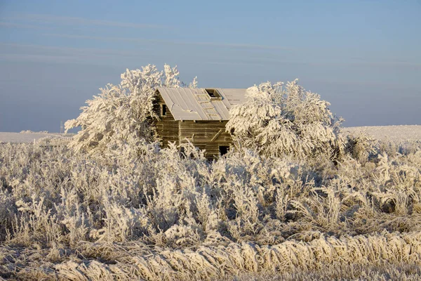 Inverno Geada Saskatchewan Canadá Perigo Tempestade Gelo — Fotografia de Stock