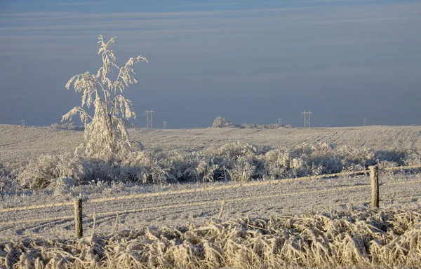 Winter Frost Saskatchewan Kanada Isstorm Fara — Stockfoto