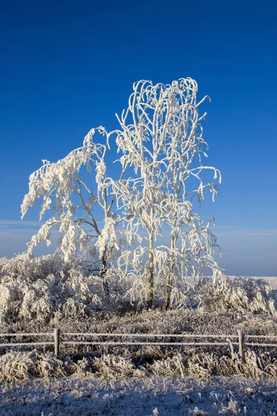 Zimní Mráz Saskatchewan Kanada Led Bouře Nebezpečí — Stock fotografie