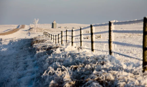 Winter Frost Saskatchewan Canada Ice Storm Fence — Stock Photo, Image