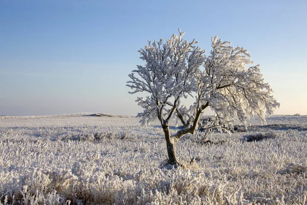 Zimní Mráz Saskatchewan Kanada Led Bouře Nebezpečí — Stock fotografie