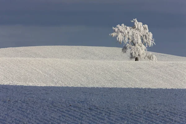 Winter Frost Saskatchewan Canada Ice Storm Danger — Stock Photo, Image