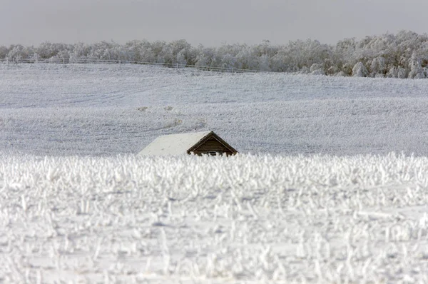 Zimní Mráz Saskatchewan Kanada Led Bouře Nebezpečí — Stock fotografie