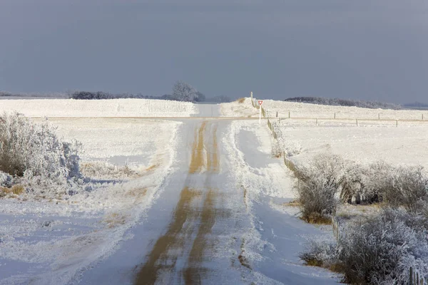 Zimowy Mróz Saskatchewan Kanada Zagrożenie Burzą Lodową — Zdjęcie stockowe