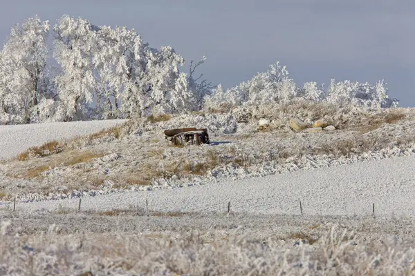 Zimowy Mróz Saskatchewan Kanada Zagrożenie Burzą Lodową — Zdjęcie stockowe