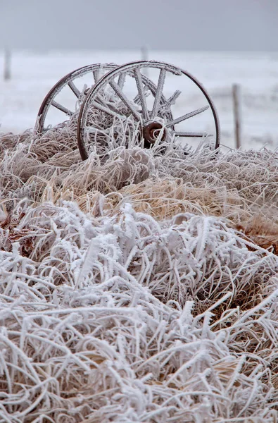 Winter Frost Saskatchewan Kanada Jégvihar Veszély — Stock Fotó