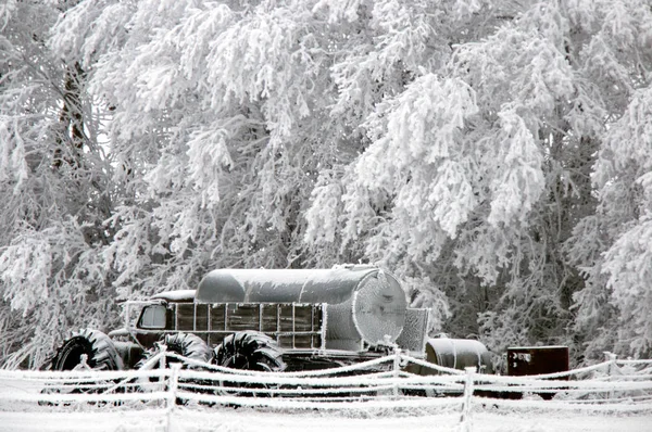 Winter Frost Saskatchewan Canada Ijsstorm Gevaar — Stockfoto