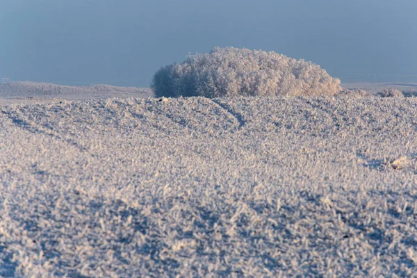 Inverno Geada Saskatchewan Canadá Perigo Tempestade Gelo — Fotografia de Stock