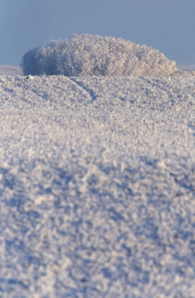 Invierno Helada Saskatchewan Canadá Peligro Tormenta Hielo —  Fotos de Stock