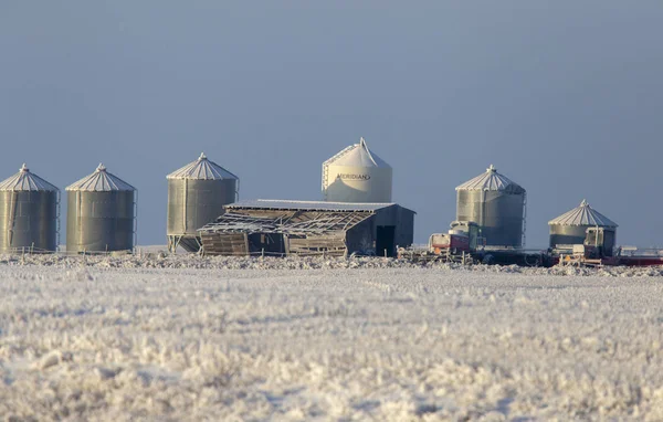 Winter Frost Saskatchewan Kanada Isstorm Fara — Stockfoto