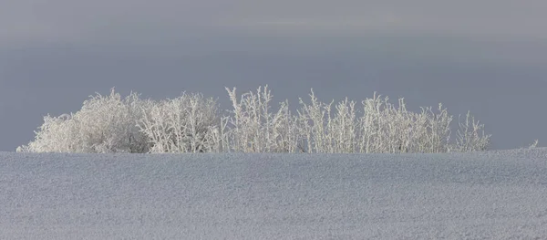 Winterfrost Saskatchewan Kanada Eissturmgefahr — Stockfoto