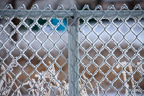 Winter Frost Saskatchewan Canada Ice Storm Fence — Stock Photo, Image