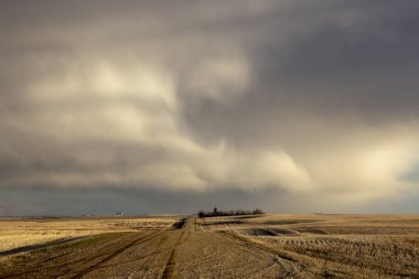 Prairie fırtına bulutları