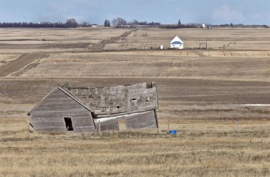 Çayır Kırsal Tarım