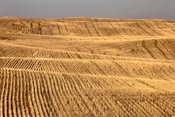 Prairie грозових хмар — стокове фото