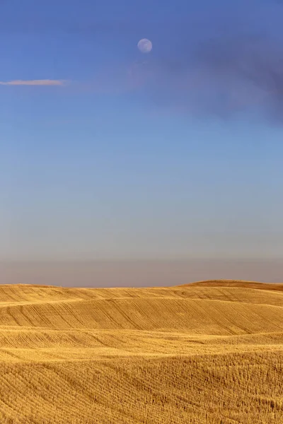 Prairie falusi mezőgazdaság — Stock Fotó